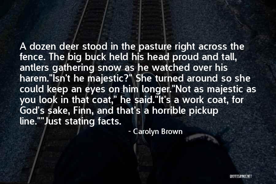 Big Brown Eyes Quotes By Carolyn Brown