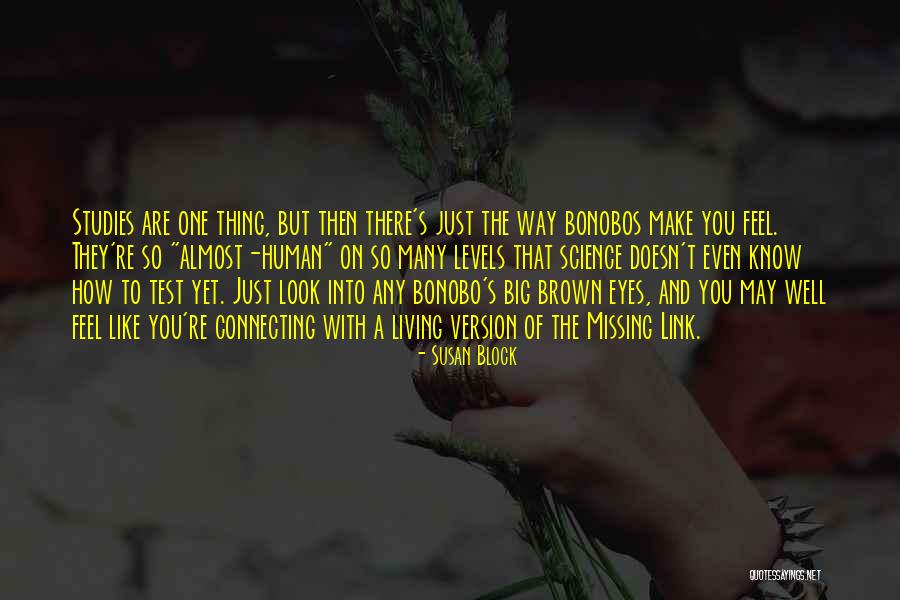 Big Brown Eyes Quotes By Susan Block Big Brown Eyes Quotes By Susan Block