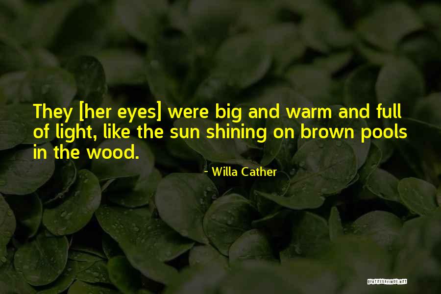 Big Brown Eyes Quotes By Willa Cather