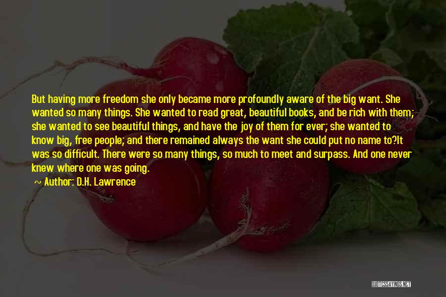 Big But Beautiful Quotes By D.H. Lawrence