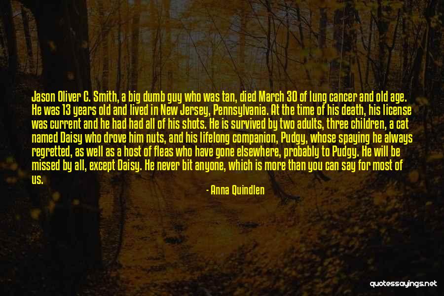 Big Cat Quotes By Anna Quindlen Big Cat Quotes By Anna Quindlen