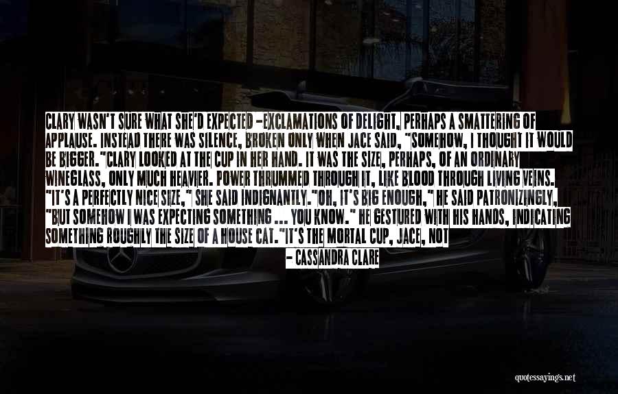 Big Cat Quotes By Cassandra Clare Big Cat Quotes By Cassandra Clare