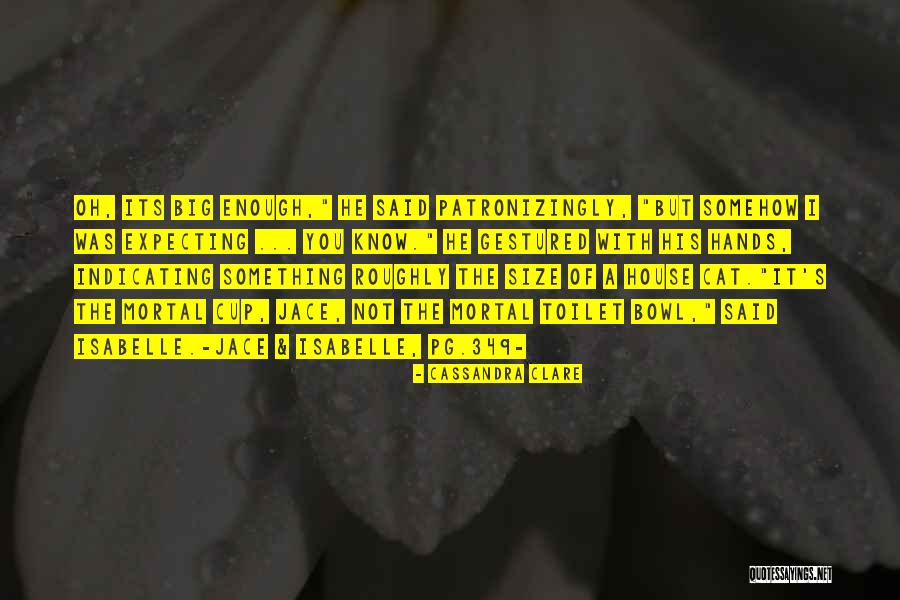 Big Cat Quotes By Cassandra Clare Big Cat Quotes By Cassandra Clare