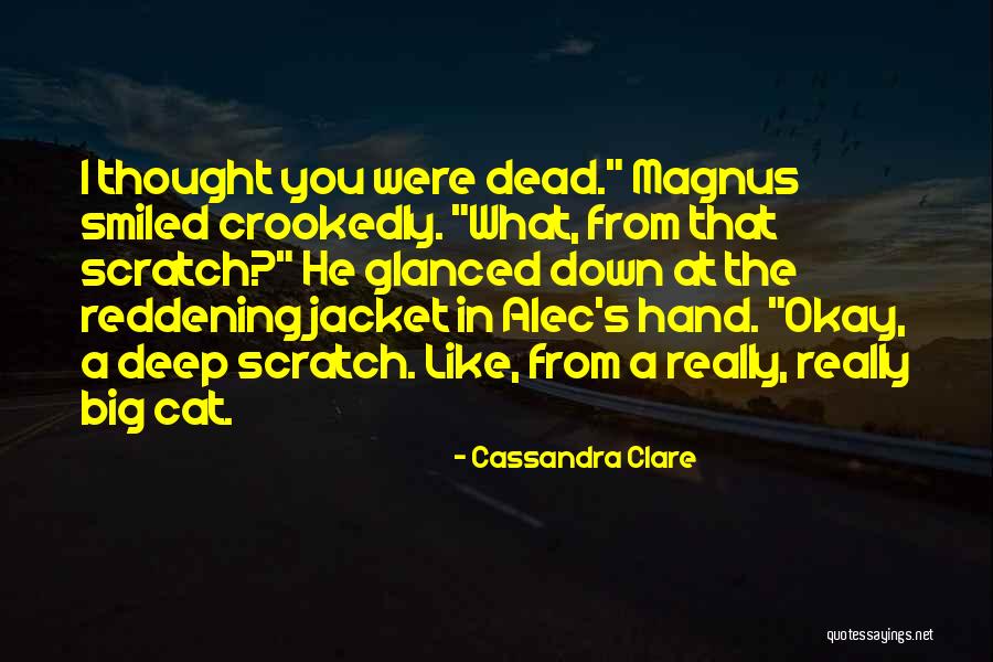 Big Cat Quotes By Cassandra Clare Big Cat Quotes By Cassandra Clare