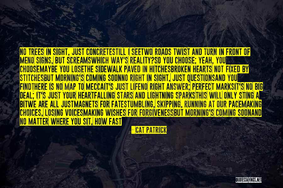 Big Cat Quotes By Cat Patrick Big Cat Quotes By Cat Patrick