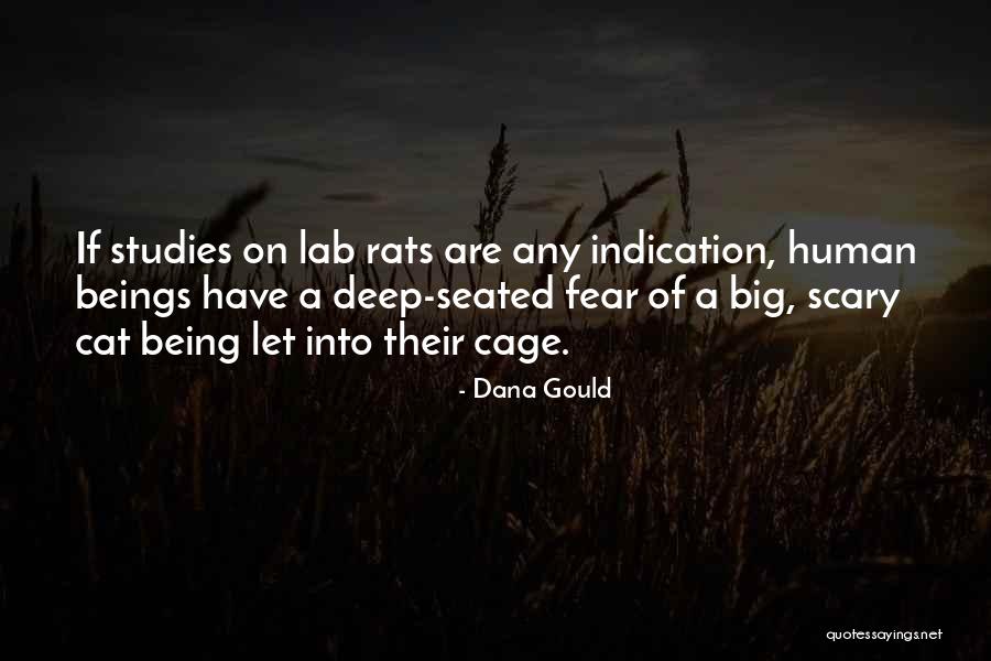 Big Cat Quotes By Dana Gould Big Cat Quotes By Dana Gould
