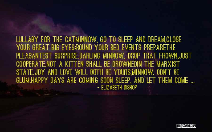 Big Cat Quotes By Elizabeth Bishop Big Cat Quotes By Elizabeth Bishop