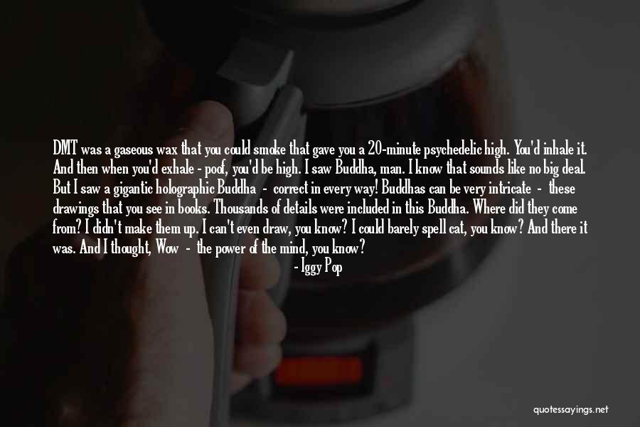 Big Cat Quotes By Iggy Pop Big Cat Quotes By Iggy Pop