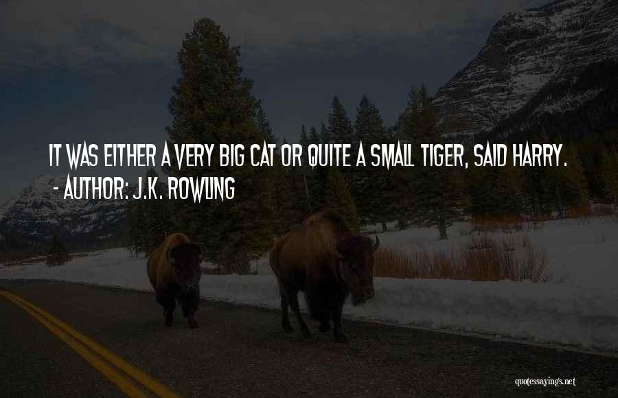 Big Cat Quotes By J.K. Rowling