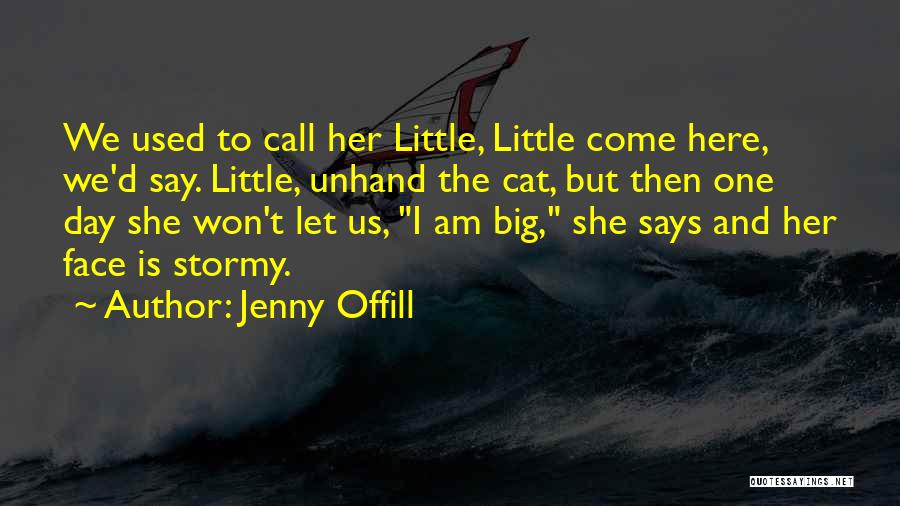 Big Cat Quotes By Jenny Offill