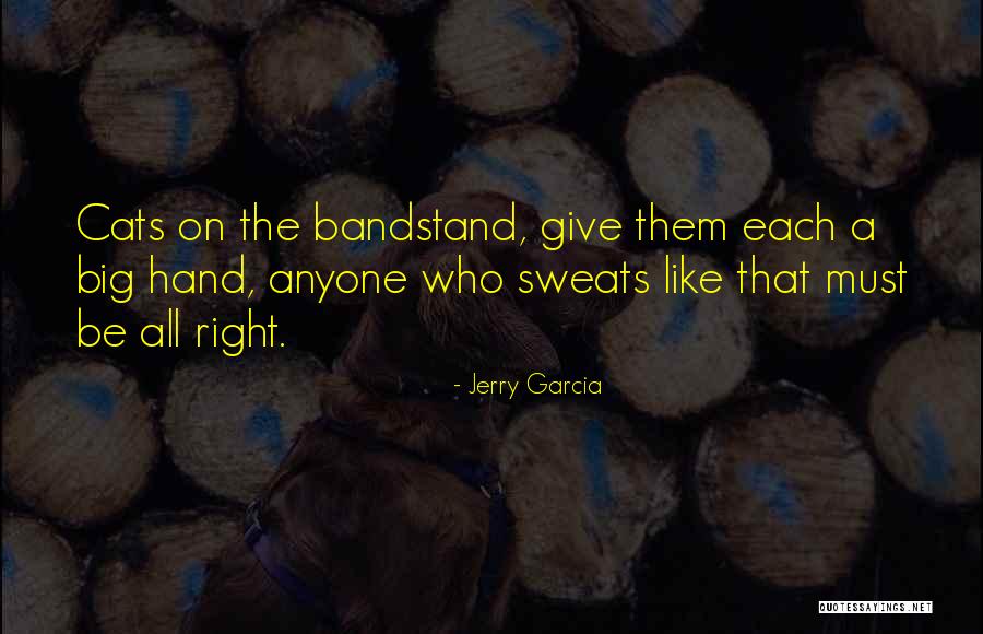 Big Cat Quotes By Jerry Garcia Big Cat Quotes By Jerry Garcia