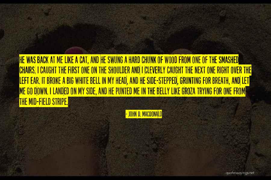 Big Cat Quotes By John D. MacDonald Big Cat Quotes By John D. MacDonald
