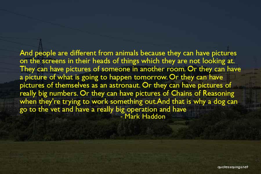 Big Cat Quotes By Mark Haddon Big Cat Quotes By Mark Haddon