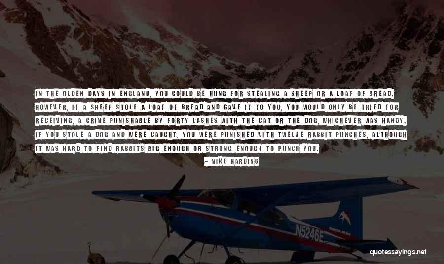 Big Cat Quotes By Mike Harding Big Cat Quotes By Mike Harding