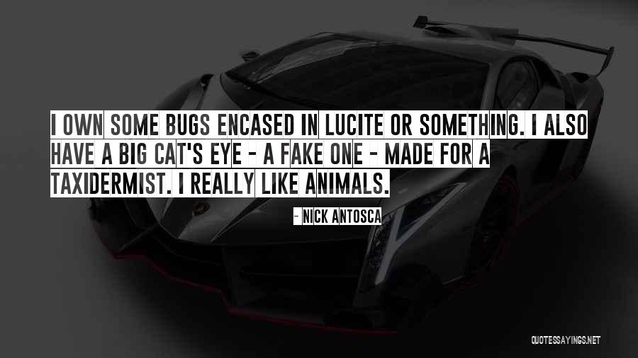 Big Cat Quotes By Nick Antosca Big Cat Quotes By Nick Antosca