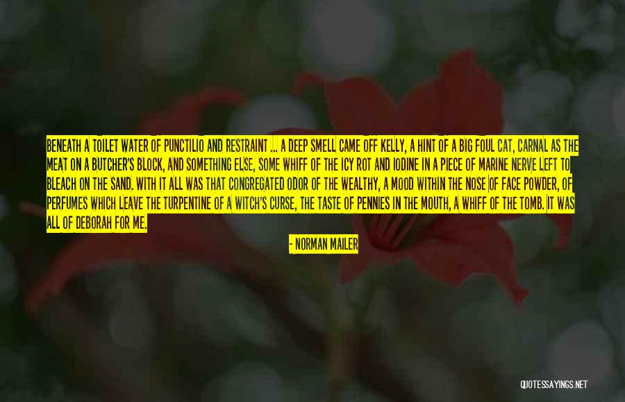 Big Cat Quotes By Norman Mailer Big Cat Quotes By Norman Mailer