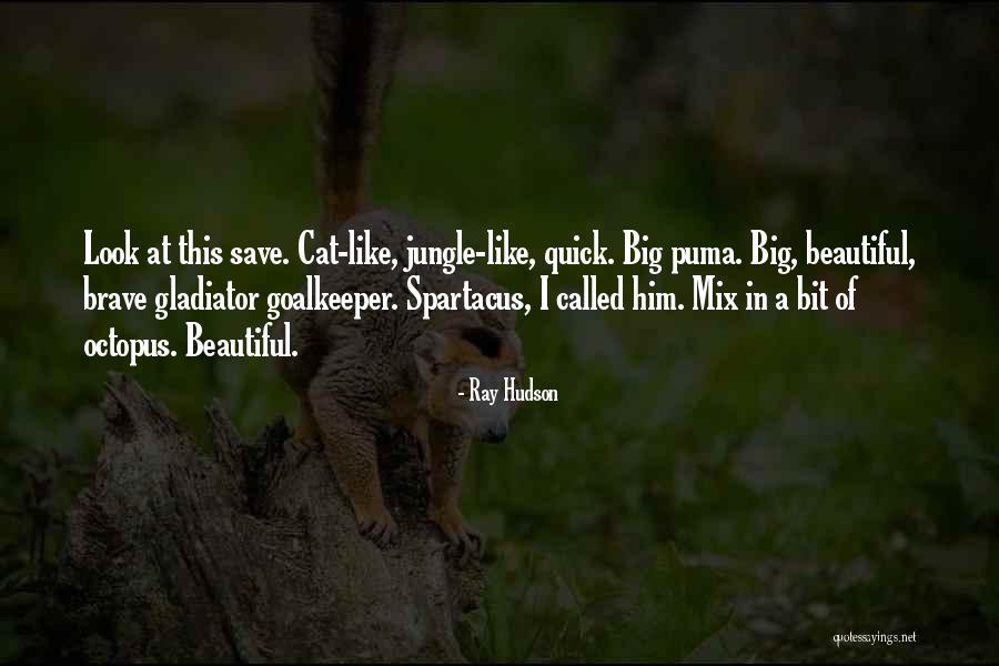 Big Cat Quotes By Ray Hudson Big Cat Quotes By Ray Hudson