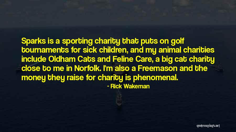 Big Cat Quotes By Rick Wakeman Big Cat Quotes By Rick Wakeman