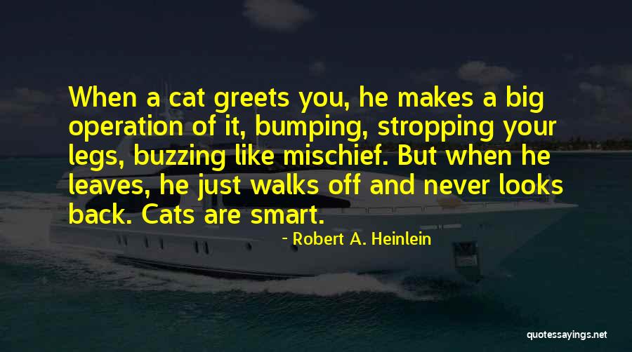 Big Cat Quotes By Robert A. Heinlein Big Cat Quotes By Robert A. Heinlein
