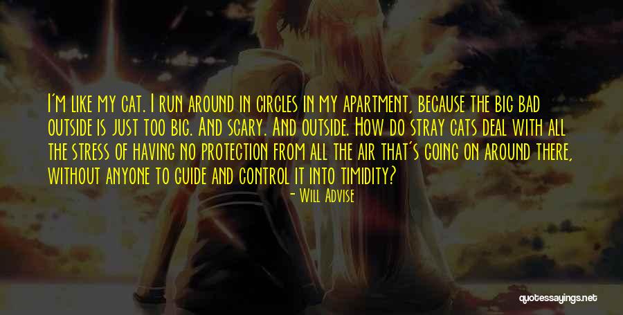 Big Cat Quotes By Will Advise Big Cat Quotes By Will Advise