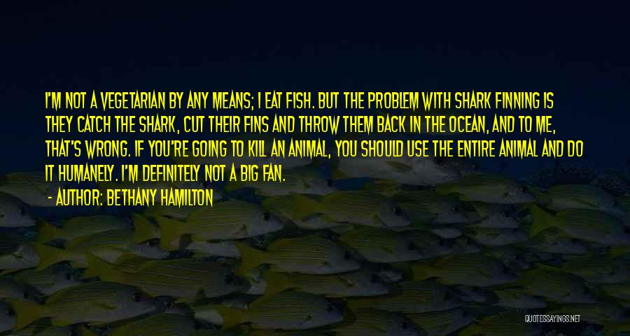 Big Catch Quotes By Bethany Hamilton