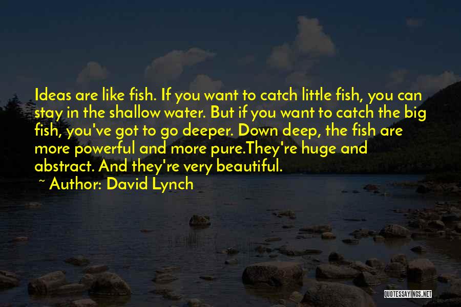 Big Catch Quotes By David Lynch