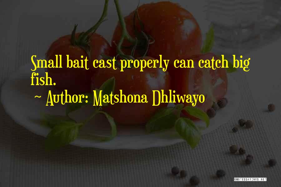 Big Catch Quotes By Matshona Dhliwayo