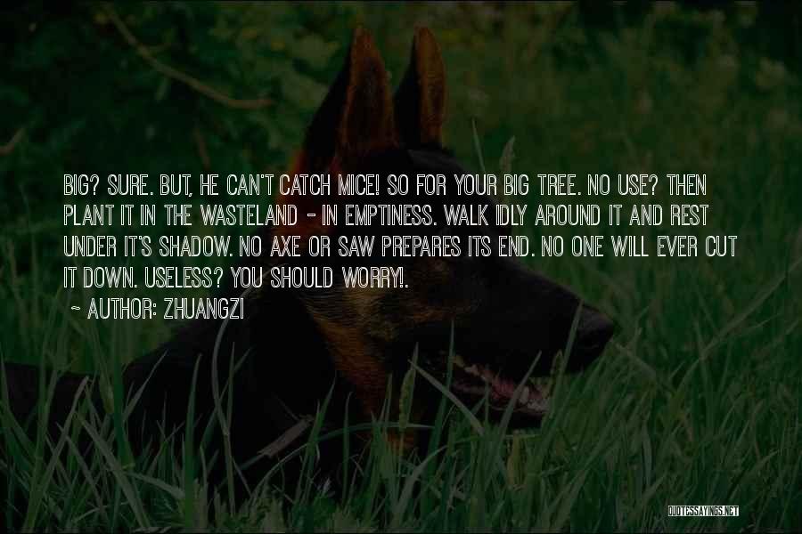 Big Catch Quotes By Zhuangzi