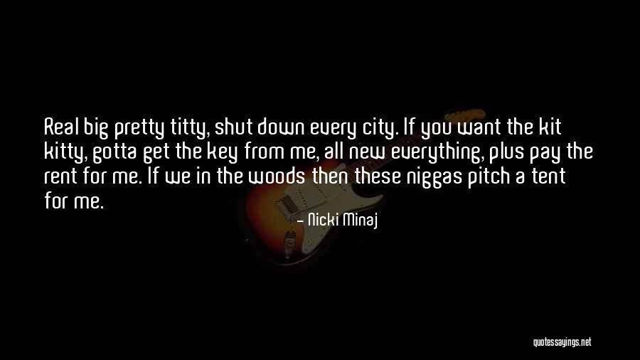 Big Cities Quotes By Nicki Minaj