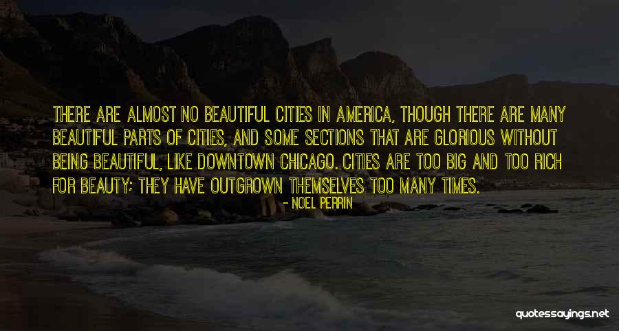 Big Cities Quotes By Noel Perrin