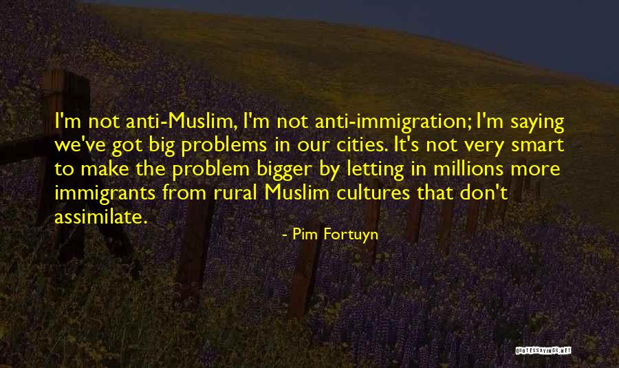 Big Cities Quotes By Pim Fortuyn