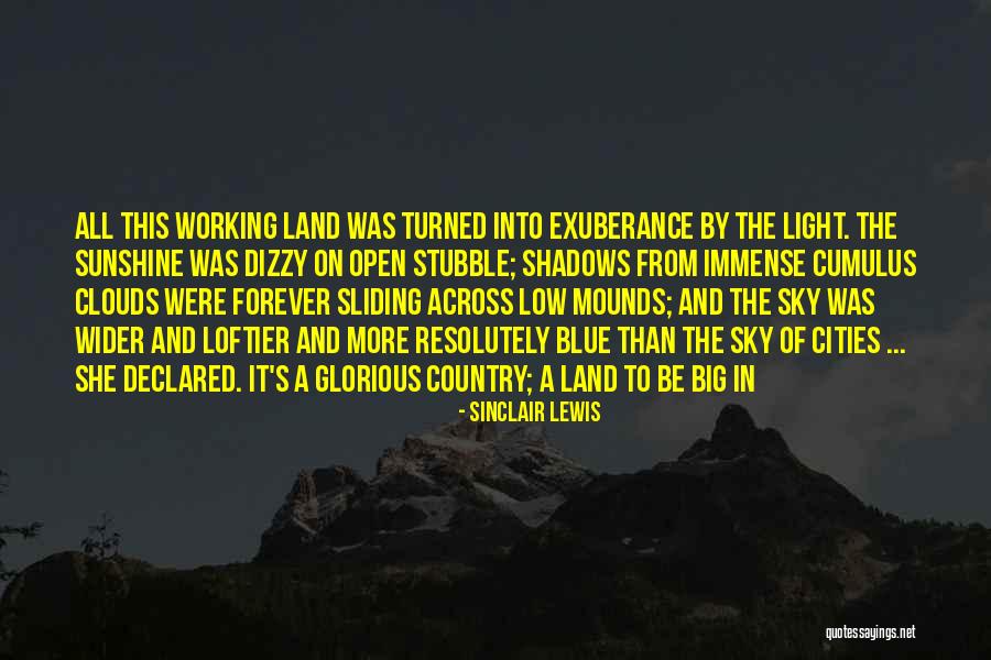 Big Cities Quotes By Sinclair Lewis