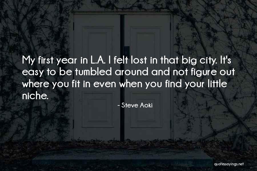 Big Cities Quotes By Steve Aoki