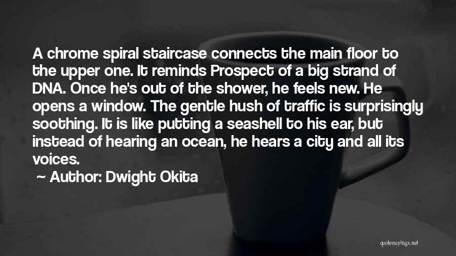 Big City Quotes By Dwight Okita