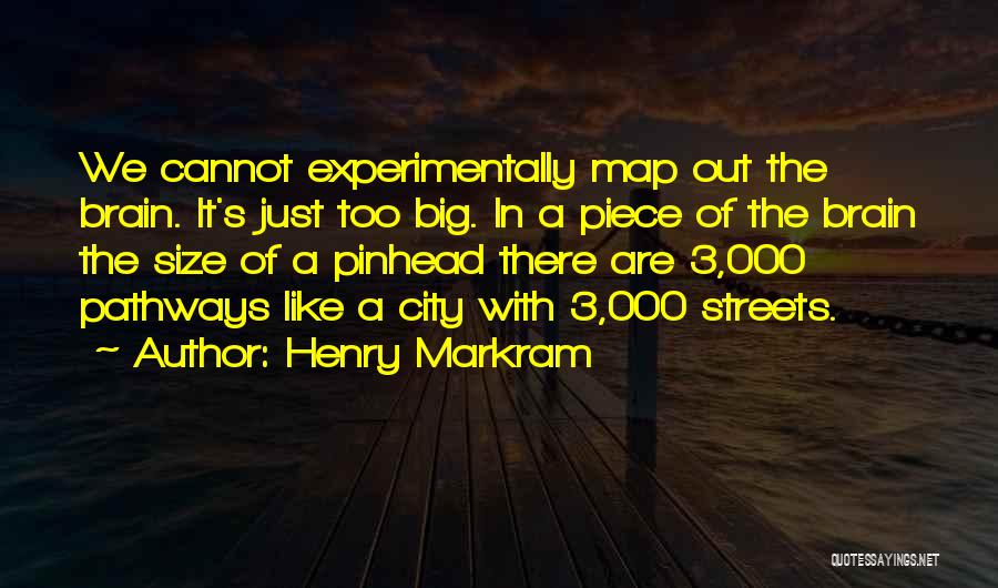 Big City Quotes By Henry Markram