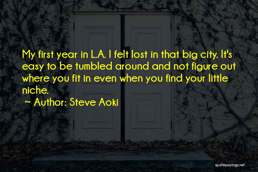 Big City Quotes By Steve Aoki