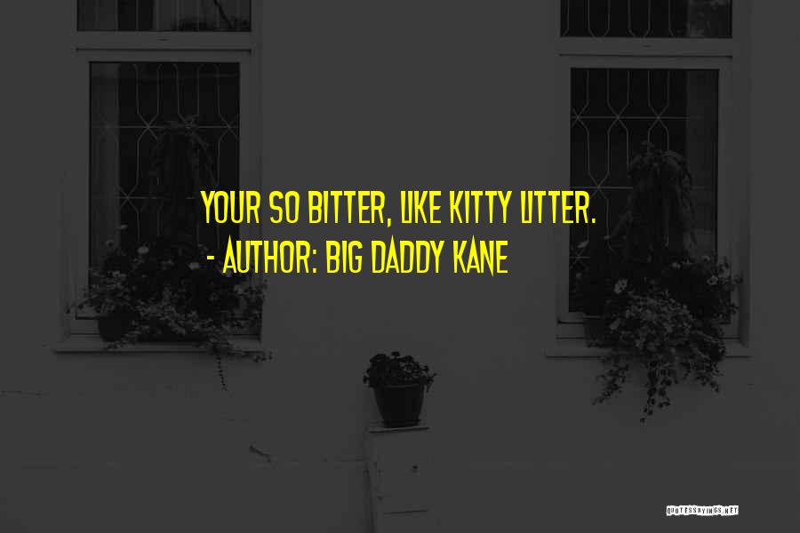 Big Daddy Kane Quotes 350304