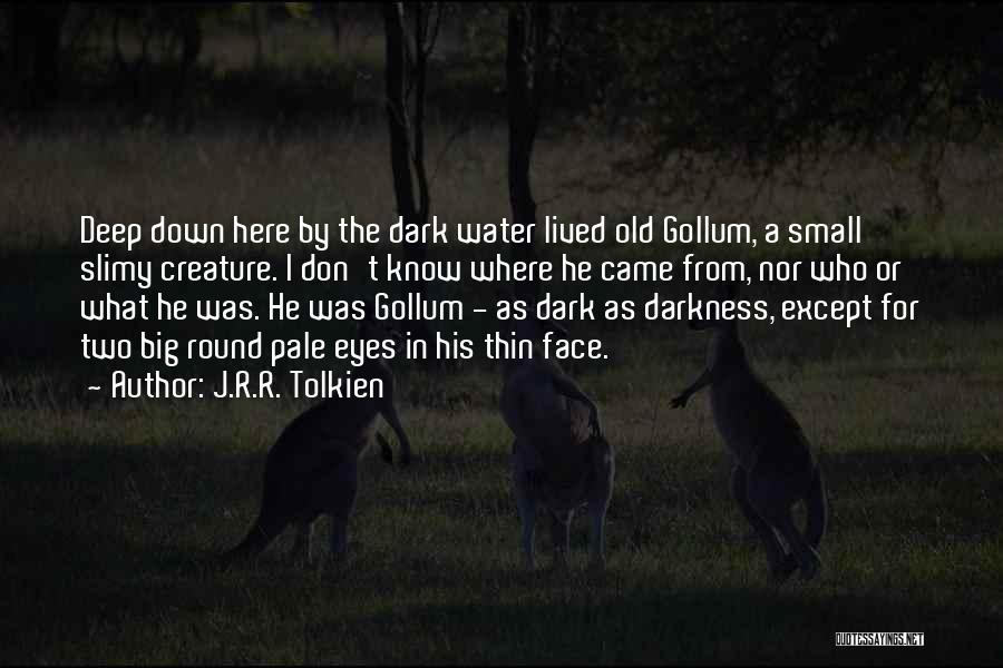 Big Dark Eyes Quotes By J.R.R. Tolkien