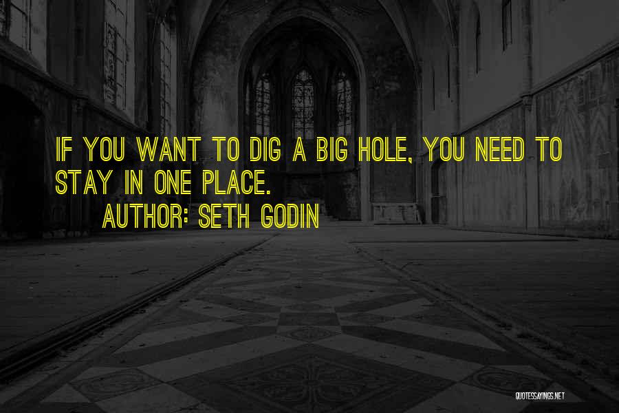 Big Dig Quotes By Seth Godin