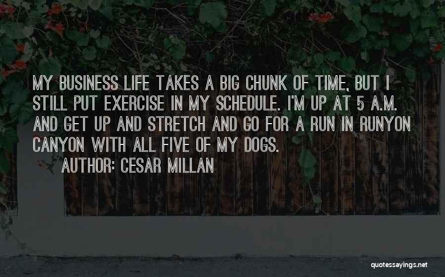 Big Dogs Quotes By Cesar Millan