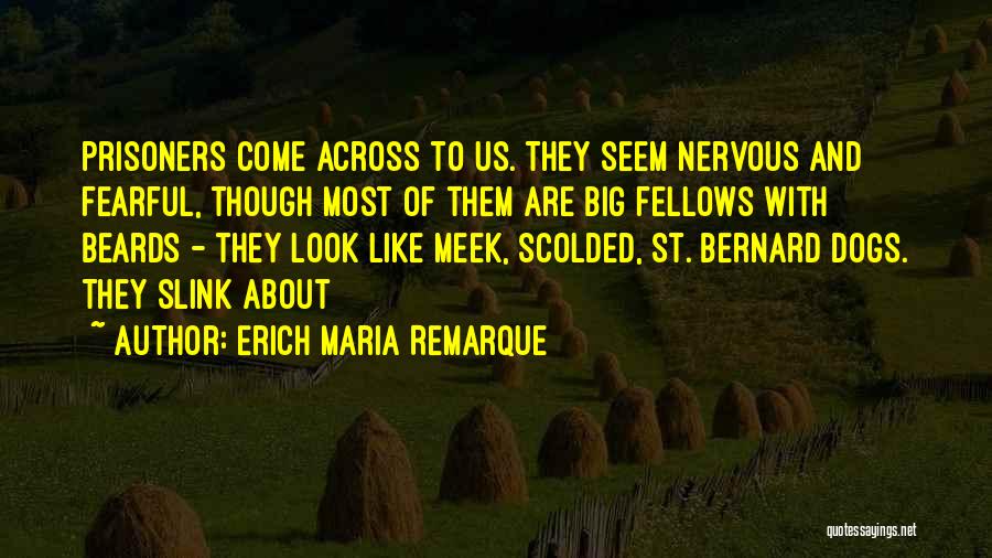 Big Dogs Quotes By Erich Maria Remarque