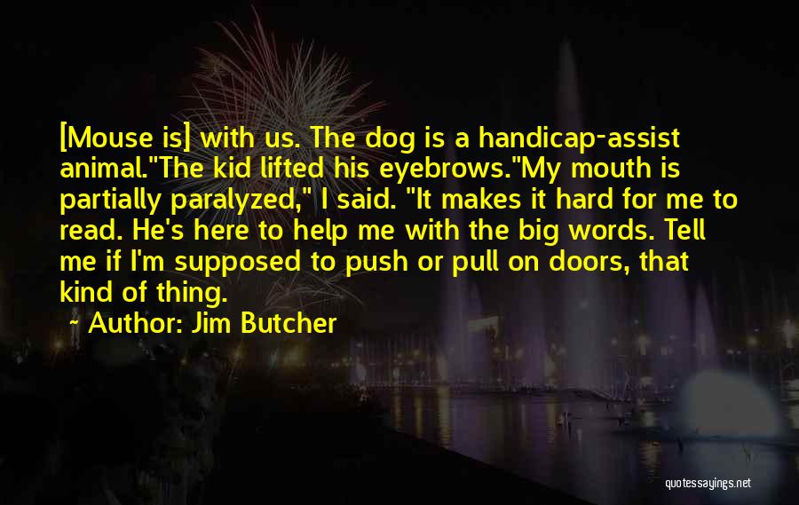 Big Dogs Quotes By Jim Butcher