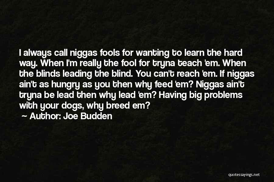 Big Dogs Quotes By Joe Budden