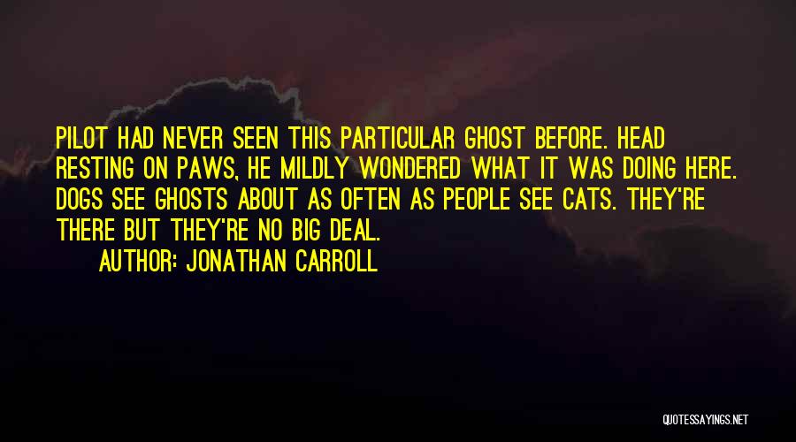 Big Dogs Quotes By Jonathan Carroll