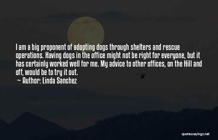 Big Dogs Quotes By Linda Sanchez