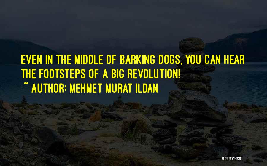 Big Dogs Quotes By Mehmet Murat Ildan