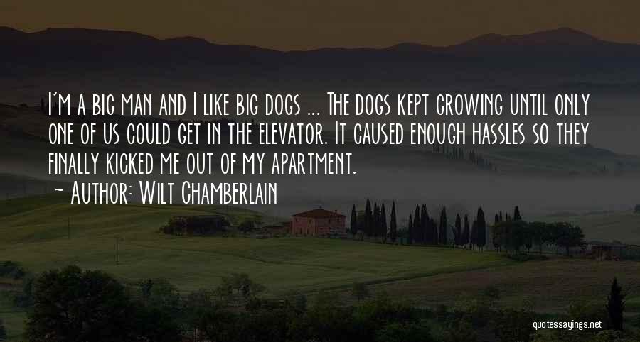 Big Dogs Quotes By Wilt Chamberlain