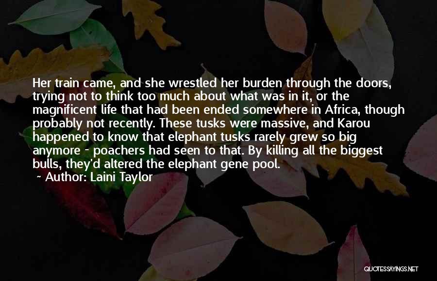Big Doors Quotes By Laini Taylor