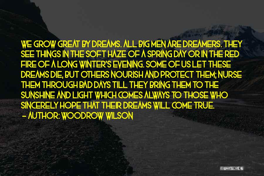 Big Dreamers Quotes By Woodrow Wilson