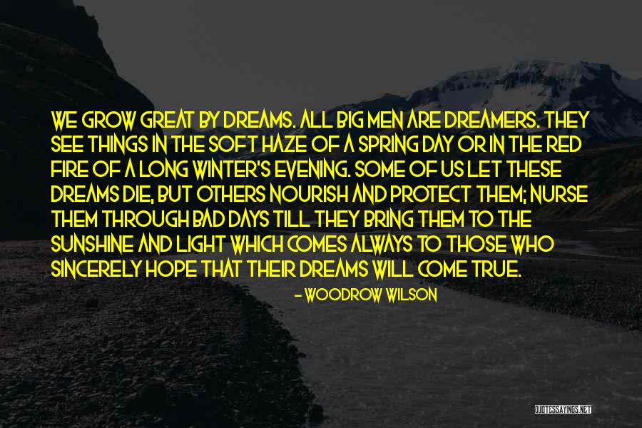 Big Dreamers Quotes By Woodrow Wilson